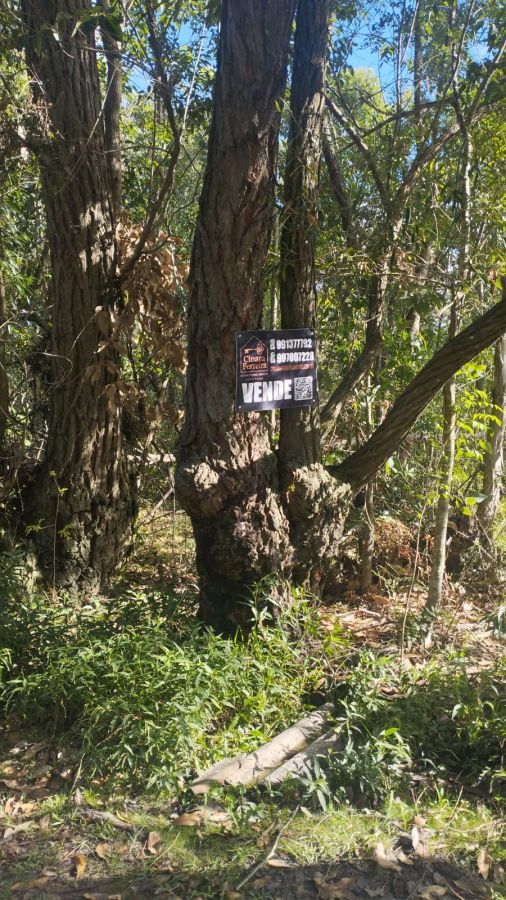 �rea - Venda - Areal - Pelotas - RS